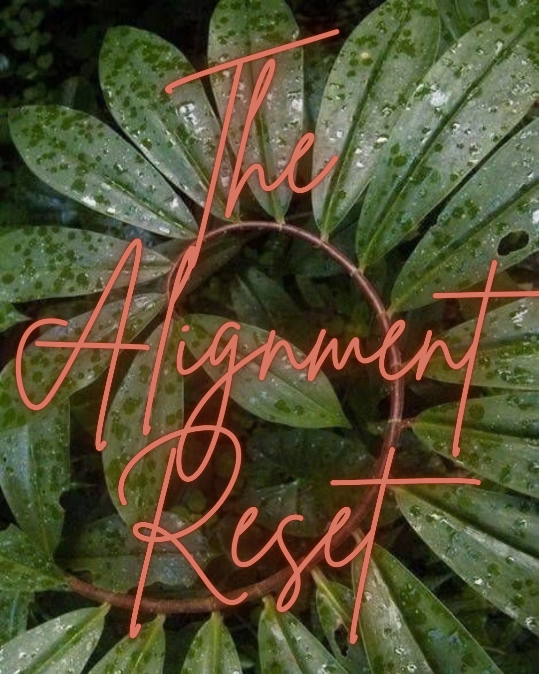 The Alignment Reset | Guided Self-Reflection Workbook